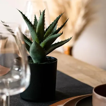 Апартаменты Oha Cases