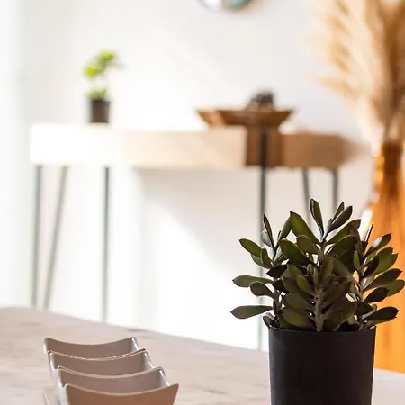 Apartment Oha Cases *