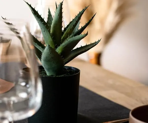 Apartamento Oha Cases