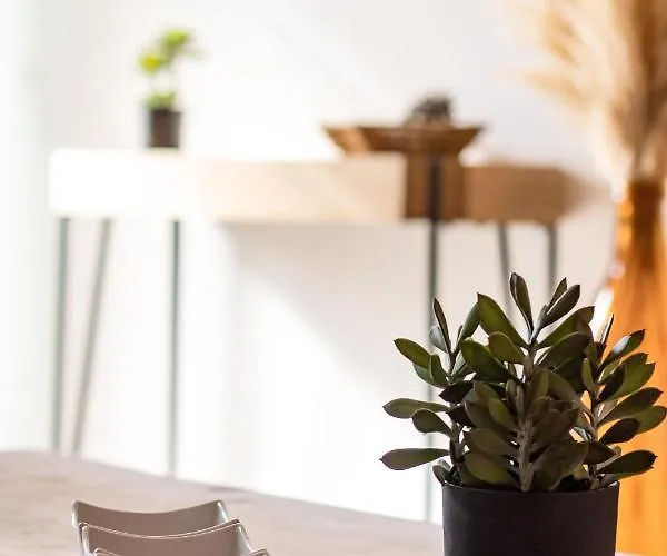 Apartamento Oha Cases *